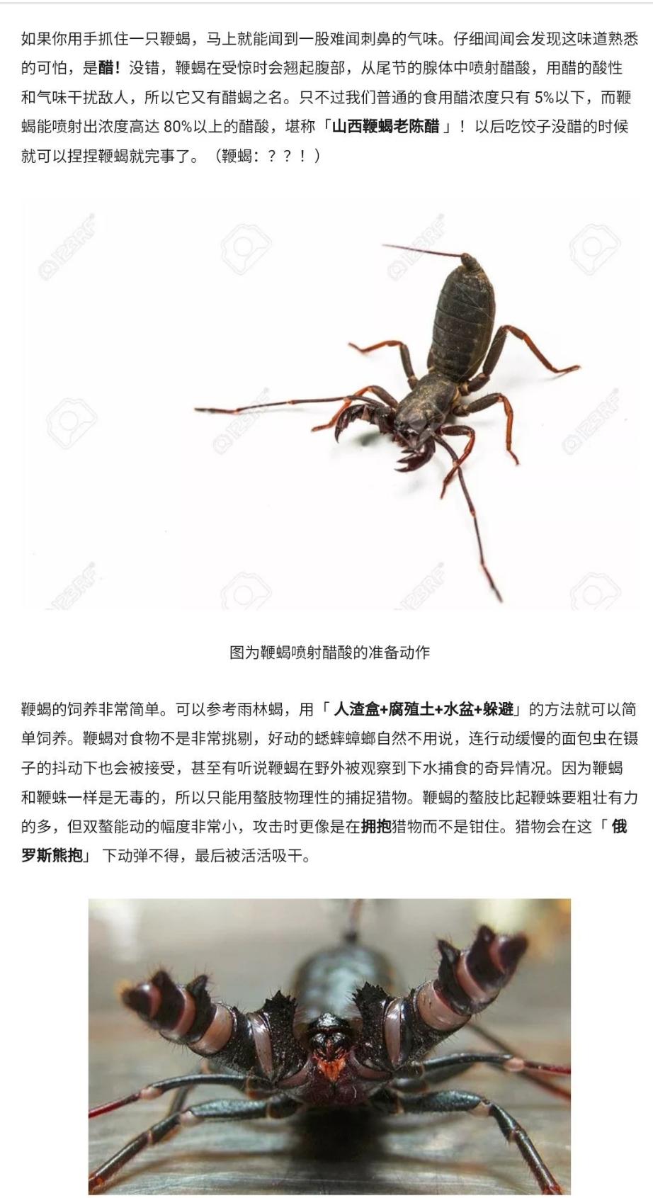 创新玩法让每一场作战都不寻常
